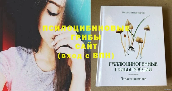 ешки Алексин